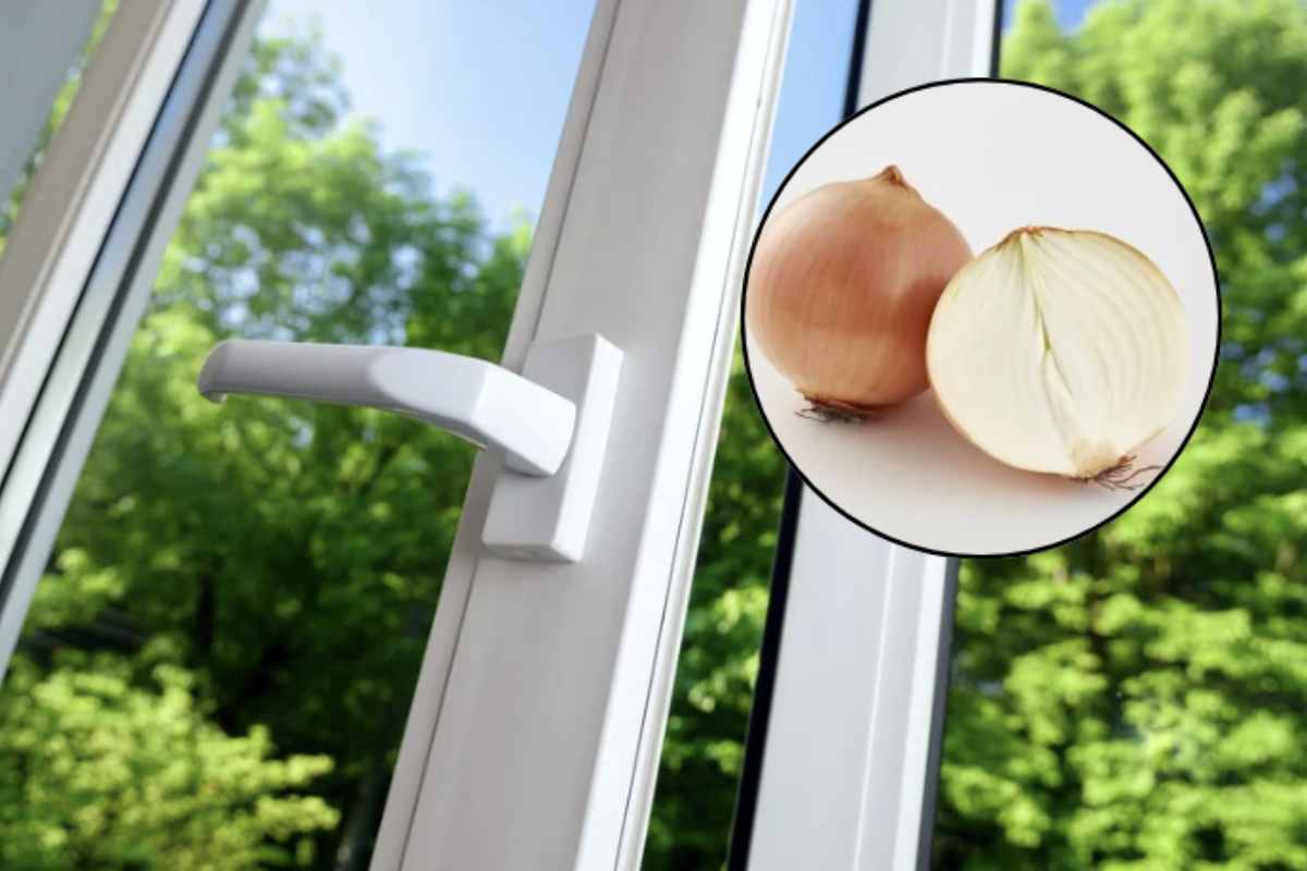 Questo antico trucco, confermato da recenti riscontri, sfrutta le proprietà antibatteriche e sgrassanti della cipolla (Allium cepa),