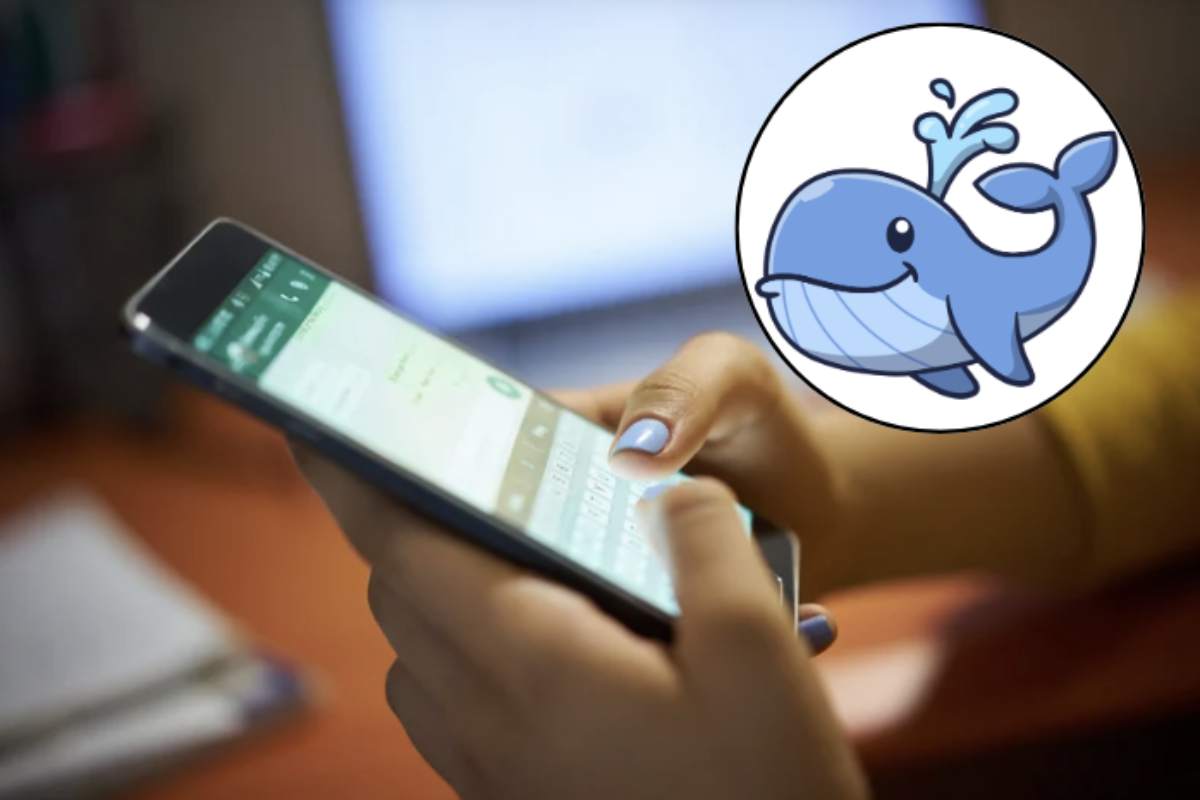 Questo fenomeno, pur non essendo una funzionalità ufficiale di WhatsApp, si è diffuso come tendenza estetica grazie all’uso di app di terze parti come Nova Launcher.